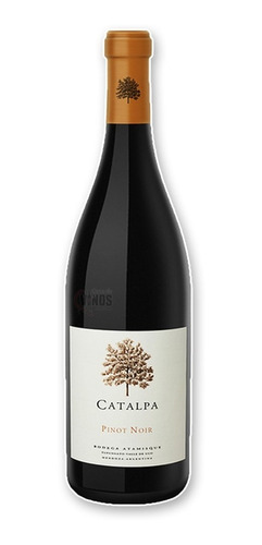 Vino Catalpa Pinot Noir Atamisque 750ml 