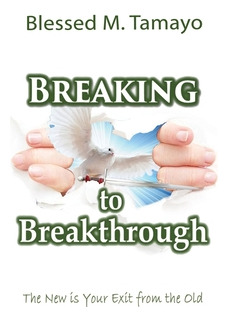 Libro Breaking To Breakthrough: The New Is Your Exit From...