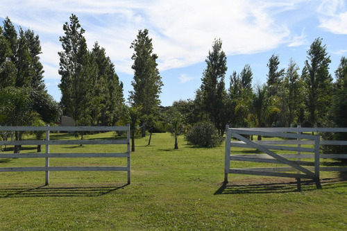 Importante Finca Con Mansion Y 9 Cabañas En Cañuelas