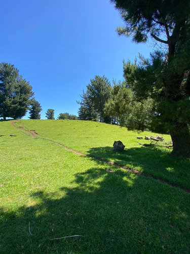 Parcelas A 13 Minutos Del Lago Ranco, En Puerto Nuevo
