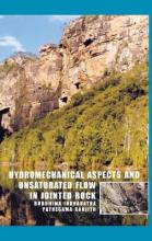 Libro Hydromechanical Aspects And Unsaturated Flow In Joi...