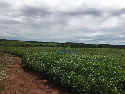 Imagem 2 de 11 de Fazenda Com 4 Dormitórios À Venda, 8712000 M² Por R$ 12.000.000,00 - Jardim Mariano - Barra Do Garças/mt - Fa0006