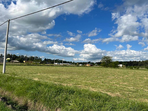 Imagen 2 de 13 de Líquido!!! Lote De Terreno En Venta De 1250 M2 En San Miguel Del Monte
