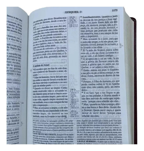 Bíblia De Estudo Pentecostal Com Harpa