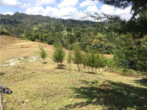 Lote En Llanogrande, Vereda Pontezuela