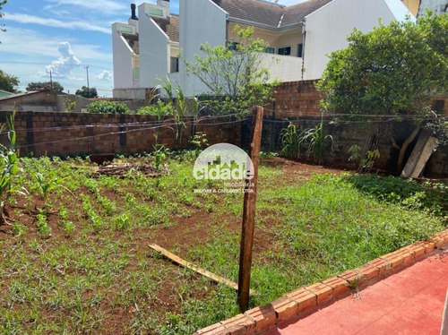 Imagem 2 de 5 de Terreno À Venda, São Cristóvão - Cascavel/pr - 11833