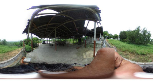 Venta Rancho 109 Has Autopista A Tampico En Tamiahua Veracruz