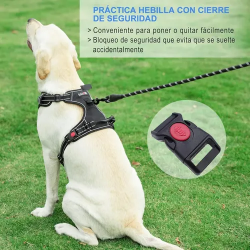 Pechera Anti Tirones Para Perro + Correa Pretal Arnés Verde S