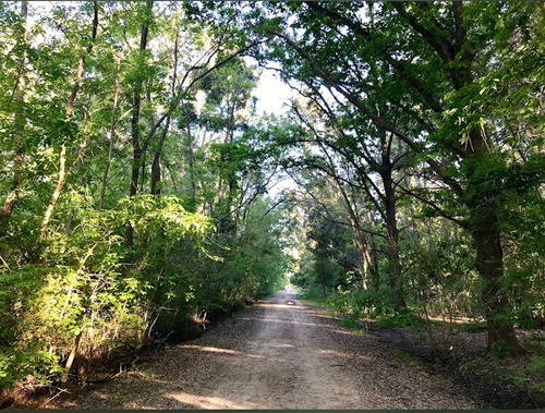 Venta De Terreno En El Barrio Los Bosquecitos