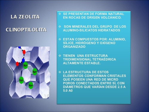 Imagen 5 de 6 de Sustrato Para Bonsái. Sustituto. 1l.