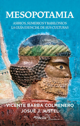 Mesopotamia, de VICENTE BARBA COLMENERO. Editorial Pinolia, S.l., tapa blanda en español