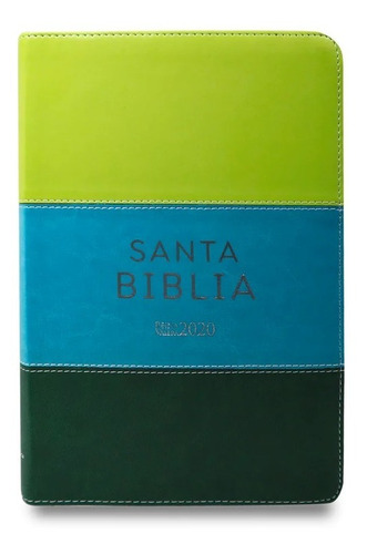 Santa Biblia Reina Valera 2020 Varis