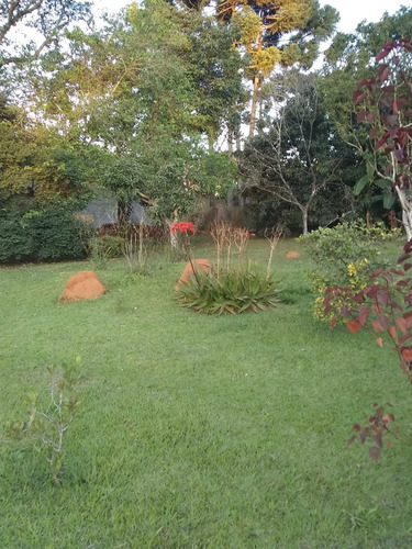Imagem 21 de 26 de Chacara - Ch00022 - 69921736