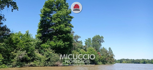 Lotes En Venta, Islas Campana, Partido De Campana, Sobre El Río Paraná. Se Escuchan Ofertas.