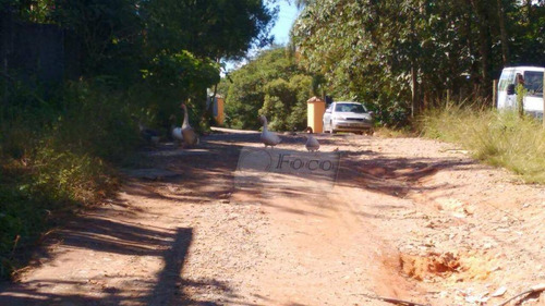 Imagem 11 de 12 de Terreno Residencial À Venda, Boa Vista, Mairiporã - Te0125. - Te0125