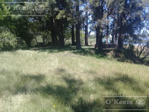 Imagen 10 de 25 de Campo En Venta En Lezama - 530 Has. Ideal Turismo Rural Con Laguna. Pesca - Retasado