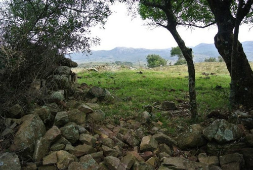 Mieres Vende Campo , Maldonado. Fracción De 41,5 Hectáreas