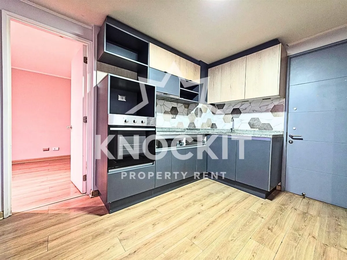 Imagen 2 de 29 de Arriendo Depto En Promoción 2d2b+estac - Comuna De Santi