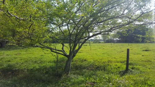 Lote En Venta En Vereda Rio Claro - Potrerito. Cod V7573