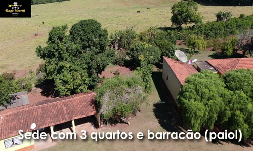 Imagem 15 de 19 de Excelente Fazenda Á Venda Com Ótima Localização Sarutaiá-piraju - Fa00036 - 68204645