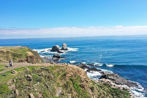 Pionero - Mirador Punta De Lobos