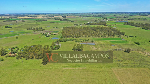 Chacra De 26 Hectàreas En Pantanoso, Sauce, Canelones