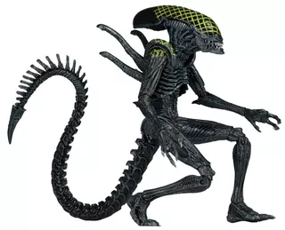 Grid Alien Do Alien Vs Predador Neca Avp 20 Cm Alienigena