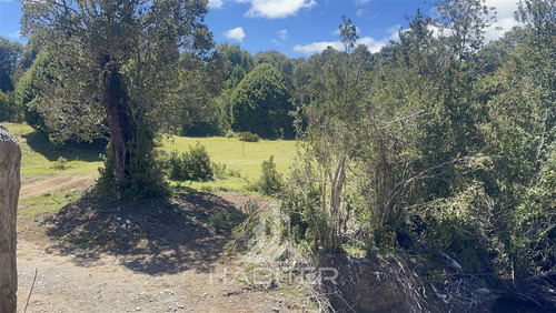 Agrícola En Venta En Hualaihue