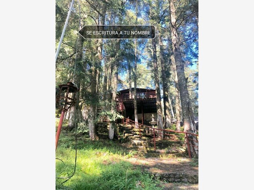 Imagen 2 de 12 de Terreno En Venta Exclusivo Fracc Campestre, Tenemos Terrenos Con Hermosos Árboles