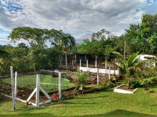 Imagem 12 de 20 de Linda Propriedade Em Litoral Sul; Peruíbe/sp - 406 - 69244464
