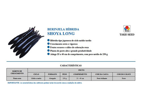 Sementes De Berinjela Híbrida Shoya Long - C/ 1.000 Sementes