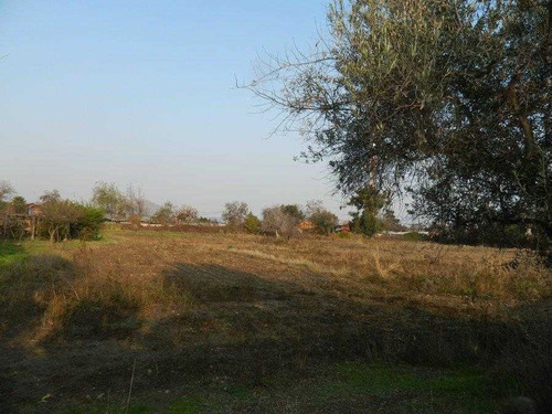 Imagen 12 de 16 de Gran Terreno En Arriendo