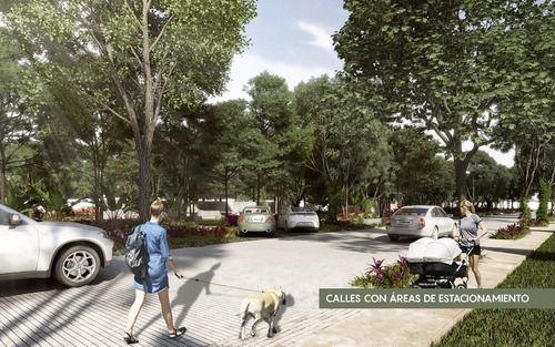 Imagen 3 de 18 de Olivia Lotes Residenciales