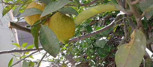 Venta Empalme Casa 3 Dormitorios Apta Credito