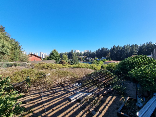 Excelente Terreno En Los Pinos