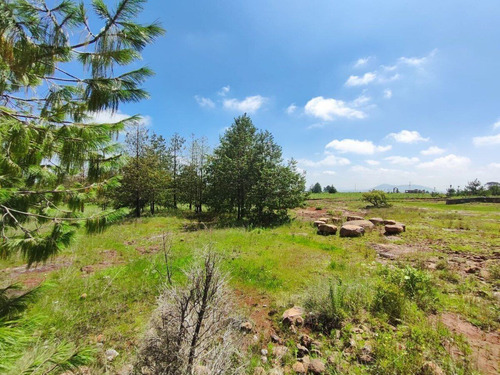 Terreno En Venta En Amealco