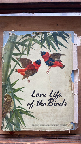 Love Life Of The Birds - Andrade, Carlos Selva (j7) (Usado)