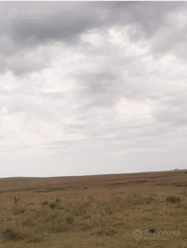 Campo En Venta - Paysandú