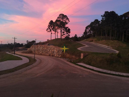 Imagem 9 de 16 de Terreno Em Gramado - 1199