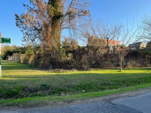 Imagen 9 de 11 de Lote En Venta - Saavedra 2400 - Frente Al Rio