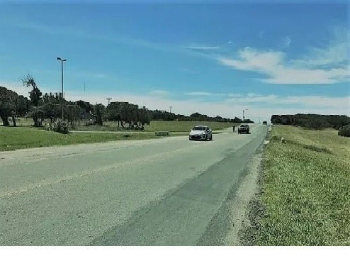 Imagen 7 de 9 de Terreno En Mar Del Plata Frente Al Mar Barrio Playa Los Lobos 450 M2 Dueño Directo Sin Comisión Ni Gastos Escritura Inmediata Calle 3 (el Pejerrey) Y Avda Costanera Buenos Arboles Y Buenas Mejoras