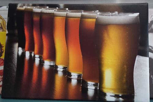 Cuadro 40x60cm Cervezas Drinks Birra Bar Malta Barman Chops