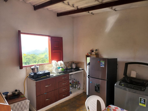 Imagen 7 de 20 de Venta De Finca Cafetera En Jericó Antioquia