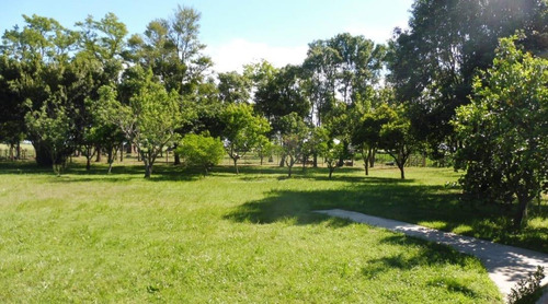 Imagen 18 de 26 de Quinte En Venta - 5 Dormitorios 3 Baños - 37ha Totales - Campo Funke