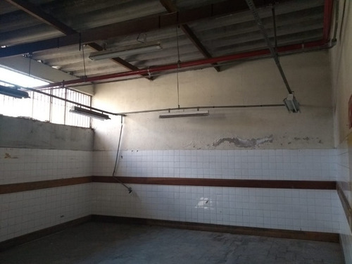 Imagem 6 de 30 de Prédio Comercial Para Alugar Na Av Cangaiba - Pt00011 - 69502881
