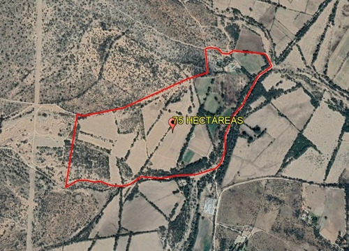Imagen 1 de 13 de Rancho San Luis Potosí, Santa María Del Río 75 Hectáreas