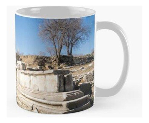 Taza Excavaciones En Lagina, Turquía Calidad Premium