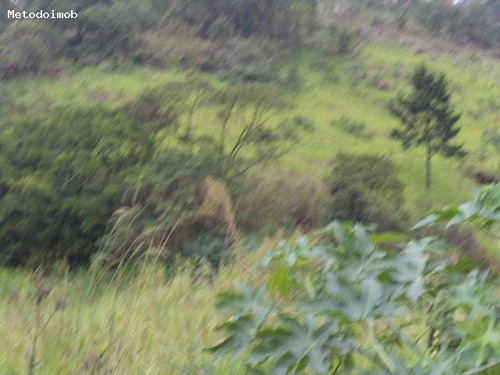 Imagem 2 de 5 de Terreno Para Venda Em Mauá, Centro - 1267_1-31239