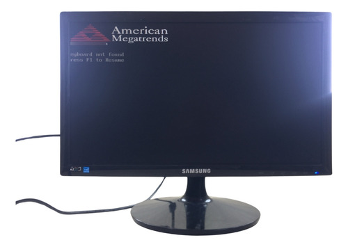 Monitor Samsung 19 Polegadas S19c301f Led Vga E Dvi (Usado)