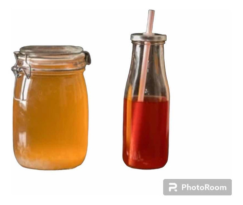 Kefir De Agua